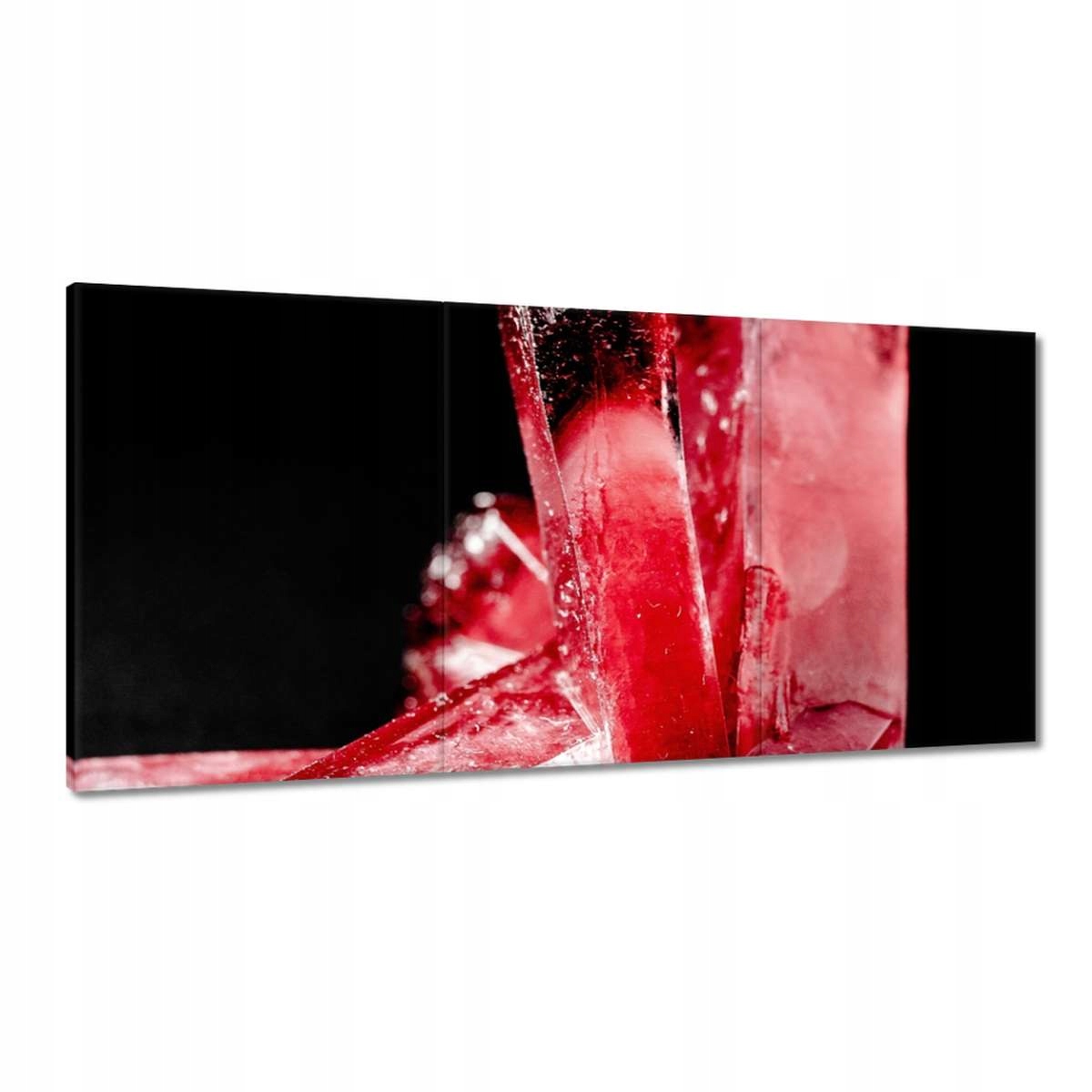 Obrazy 180x90 Makrofotografia MacroFoto