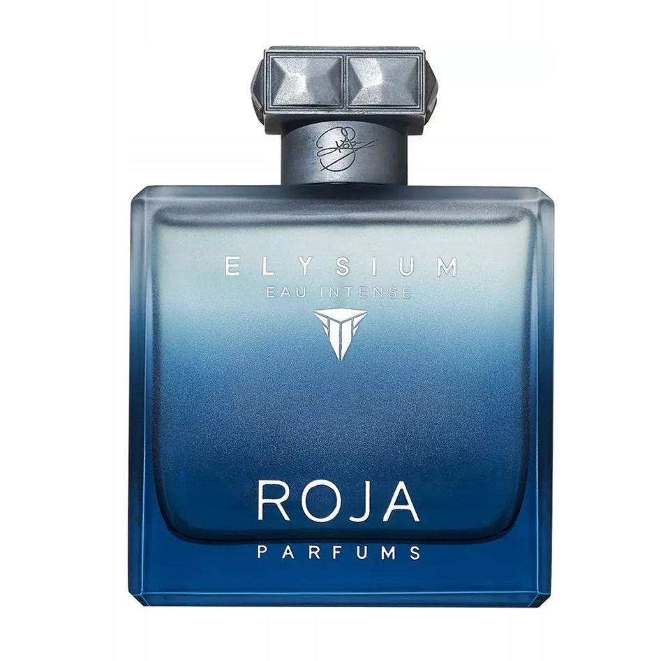 Roja Parfums Elysium Pour Homme Eau Intense 100 ml parfémovaný sprej