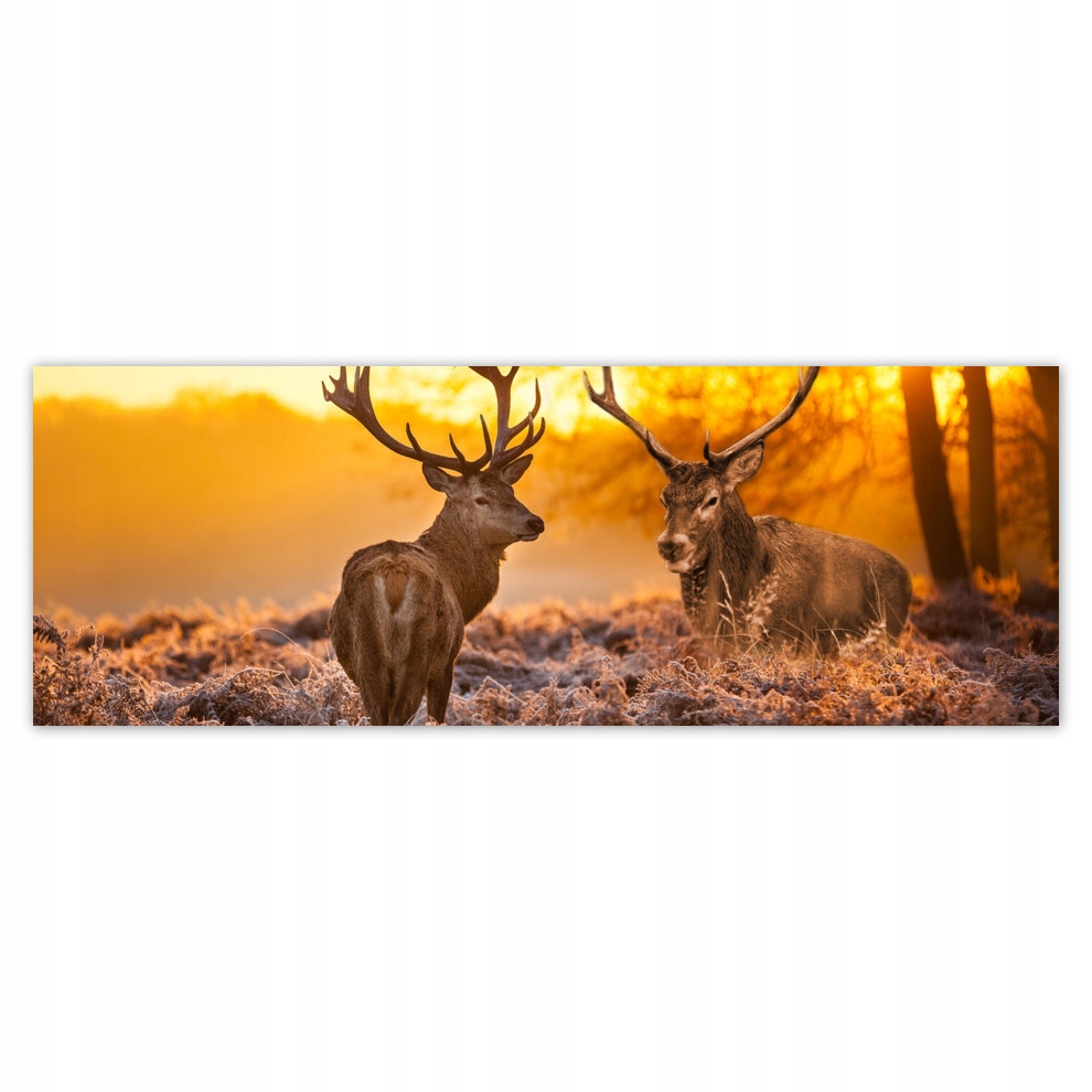 Fototapety flizelina 624x219 Jelení na řevu