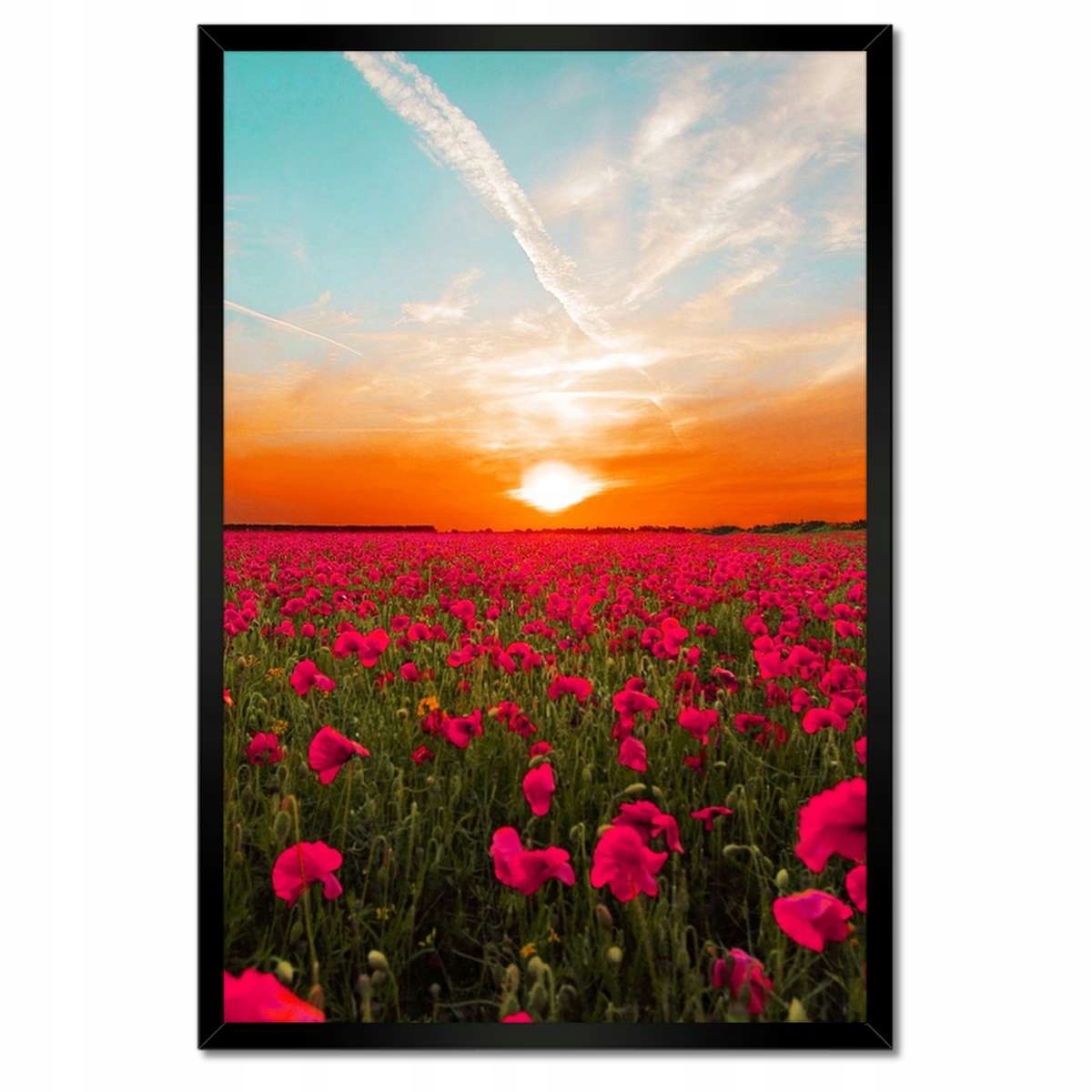 Plakáty v rámu 40x60 Růžové máky Západ slunce
