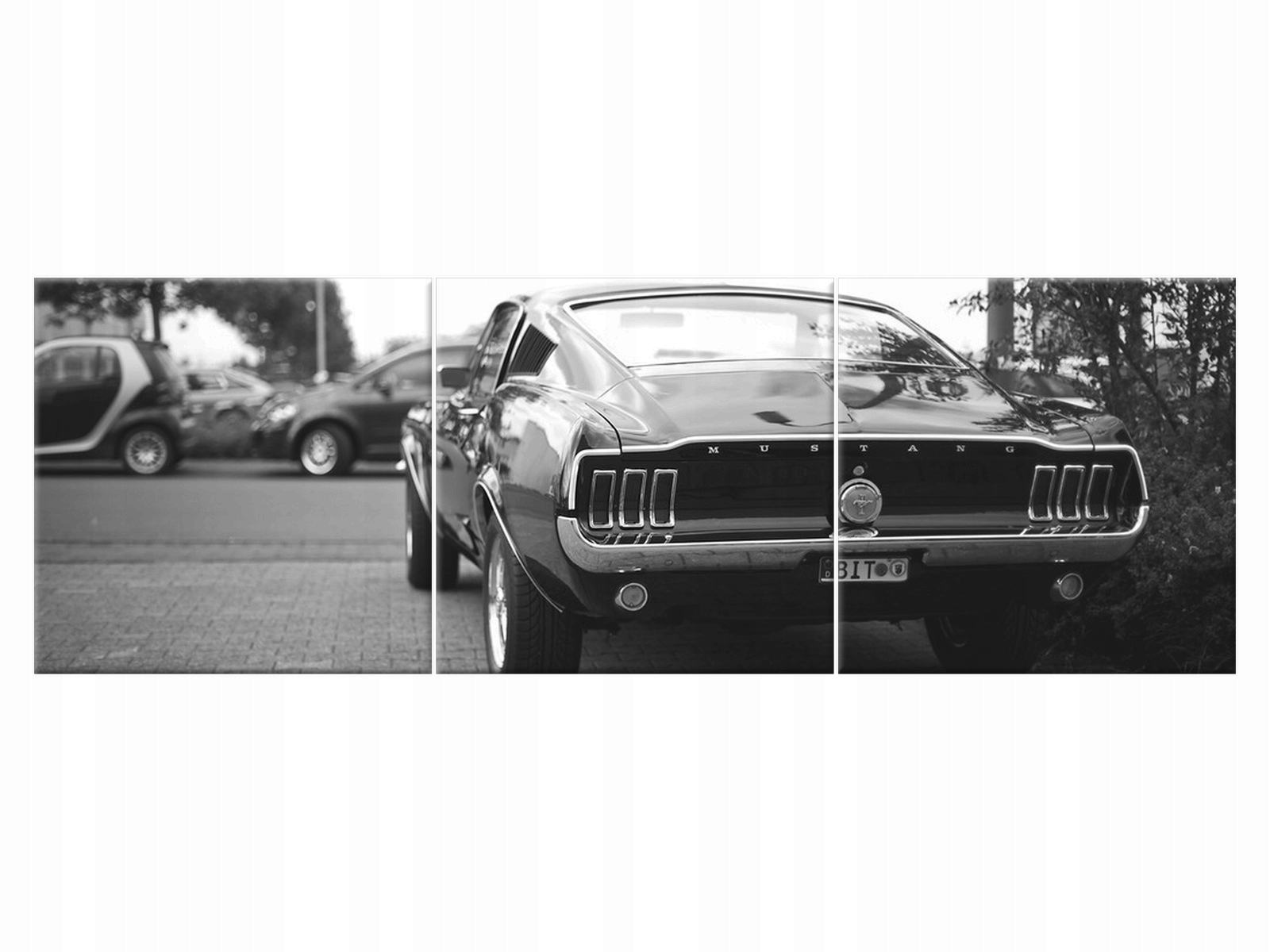 

Obraz 150x50 Niemcy Classic Mustang Samochód