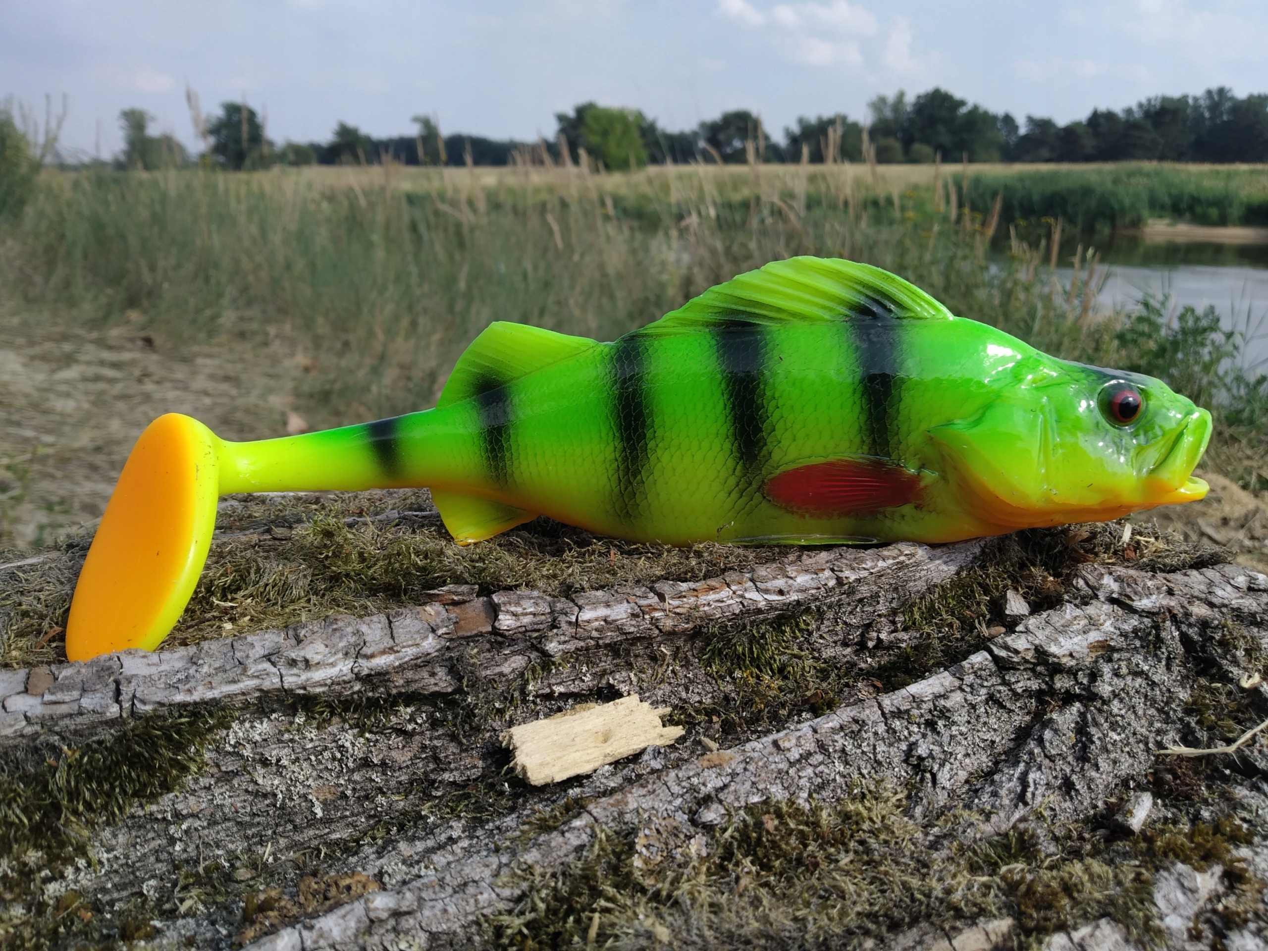 SEWRO CUSTOM OKOŃ FLUO 25 cm Kod producenta okon25