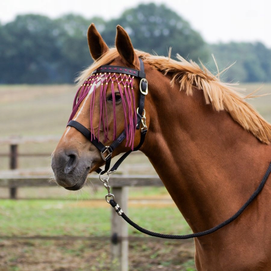 Frędzle przeciw owadom naczółek skórzany Busse bordowe cob/ pony