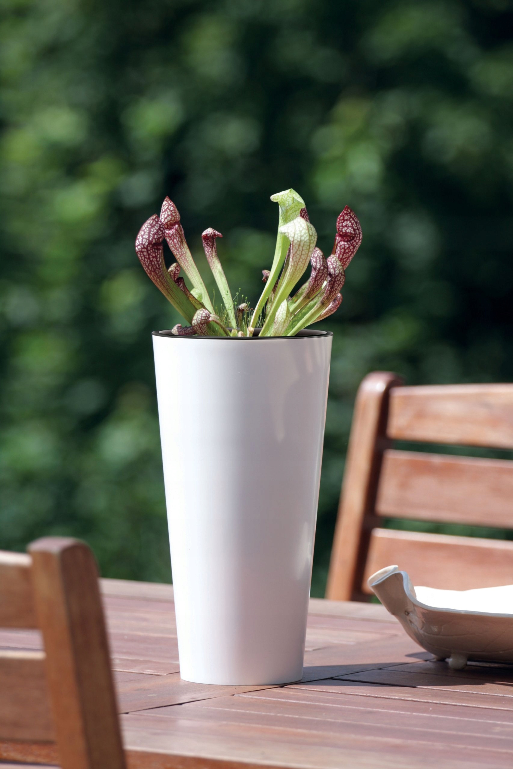 DONICA WYSOKA 38 CM Z WKŁADEM POŁYSK DTUS200S BIAŁA Kolor biały