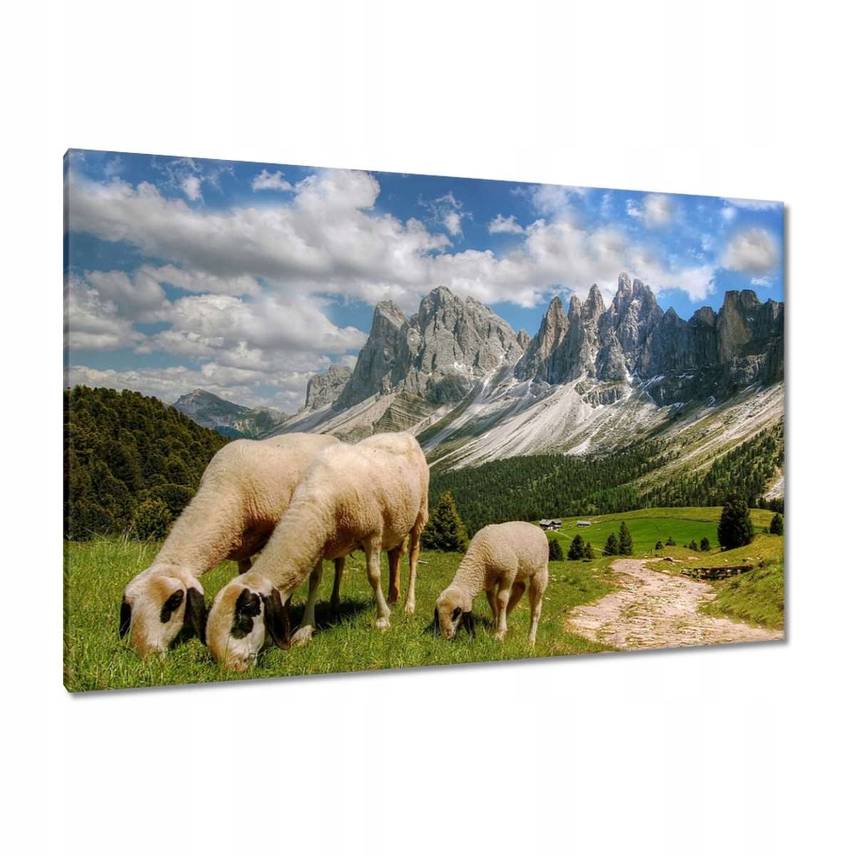 Obrazy 120x80 Hory Ovce Výprodej