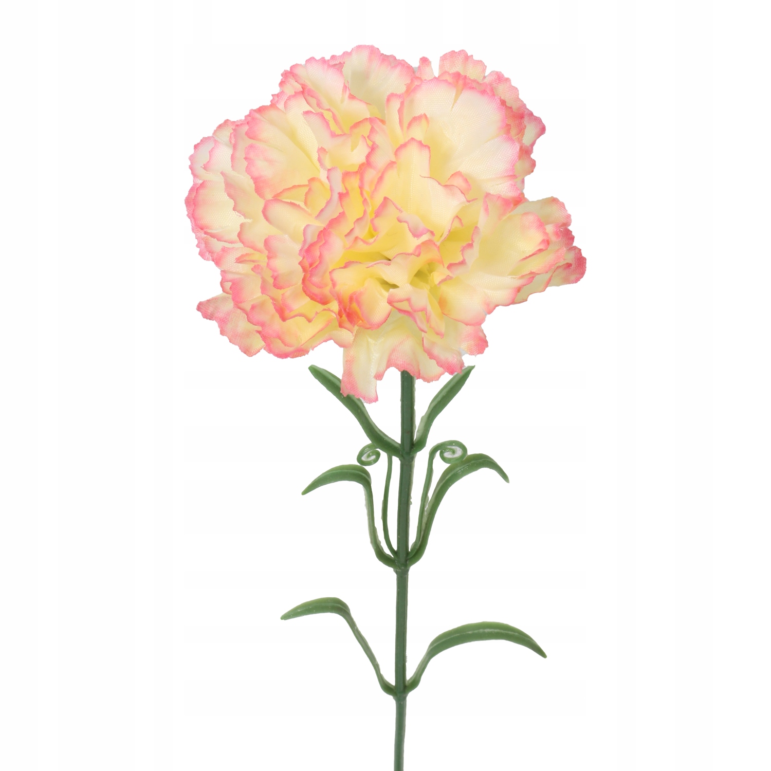 GOŹDZIK ŻÓŁTY CIENIOWANY