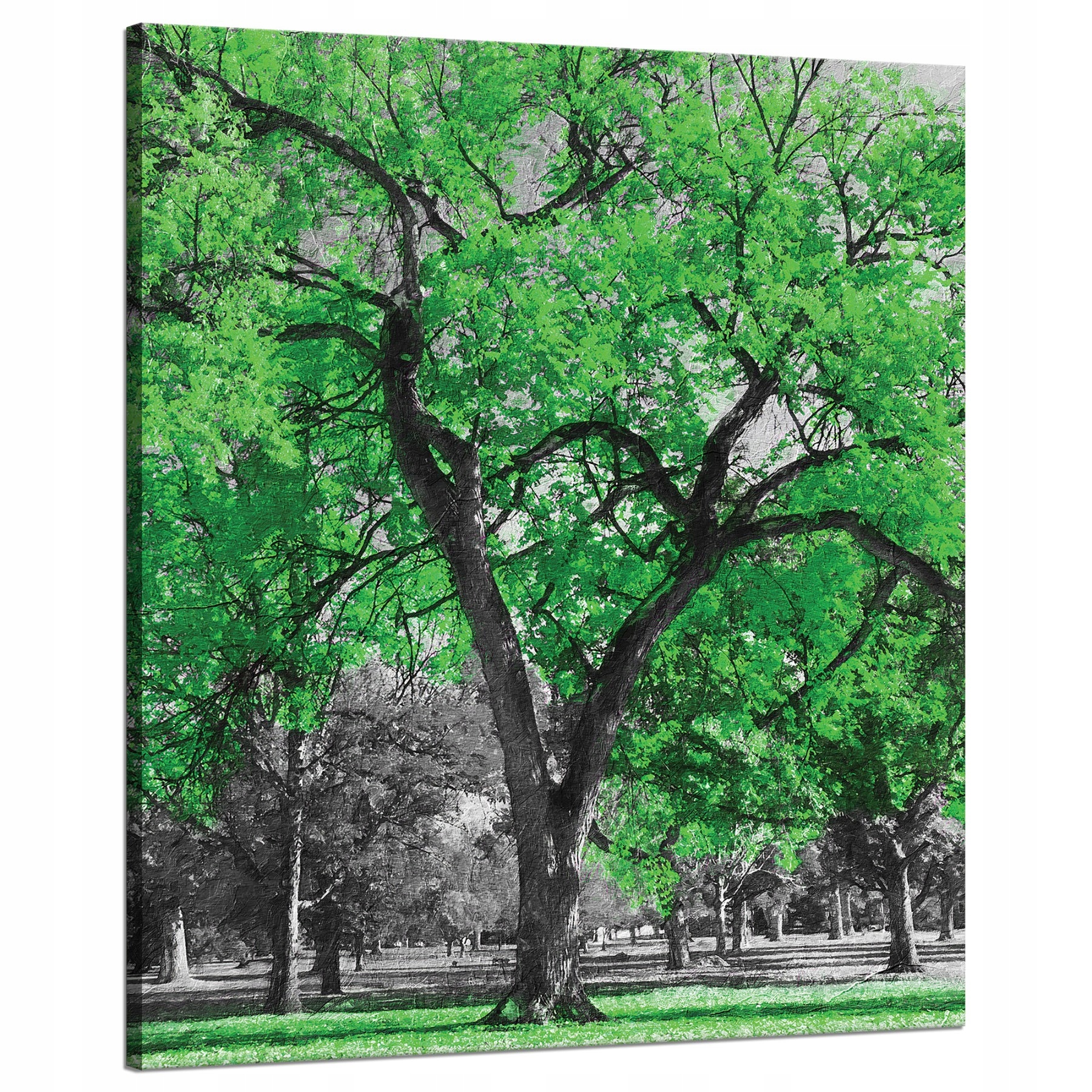 Obraz na plátně Černé Stromy Zelené Listy Umění 80x100 cm