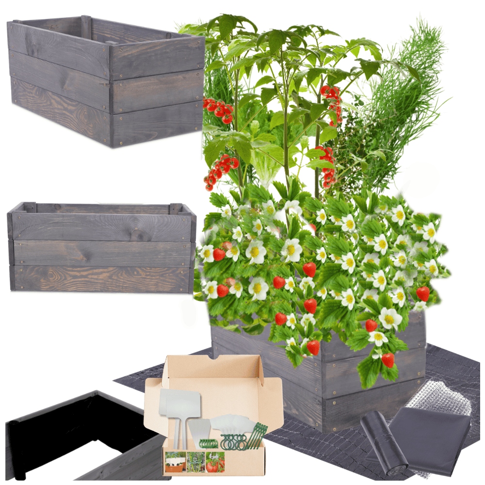 Vyvýšený záhon impregnace krabice zeleninový záhon pařeniště květináč 27x100x30
