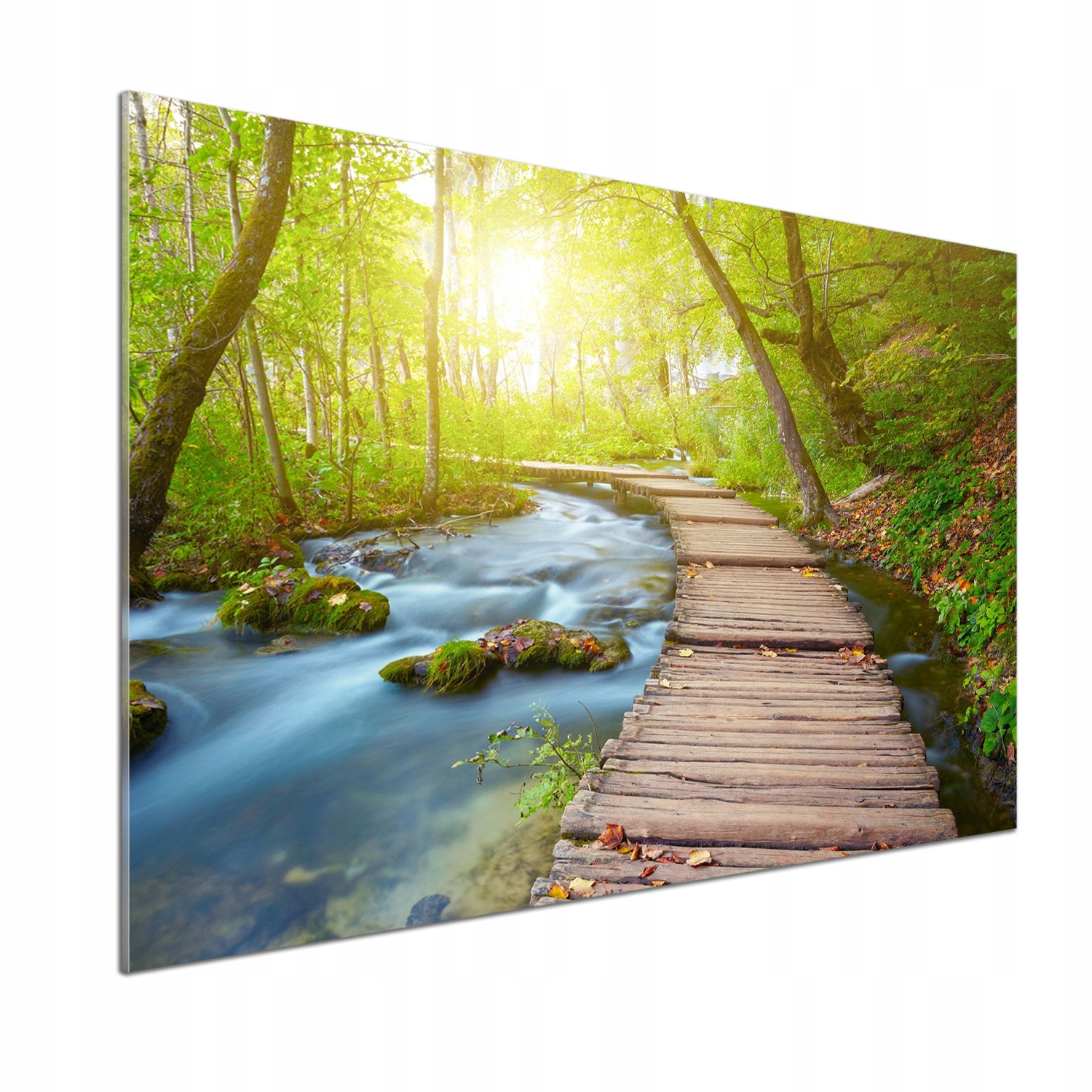 Panel do kuchyne Cesta v lese 100 x 70 cm Lepidlo