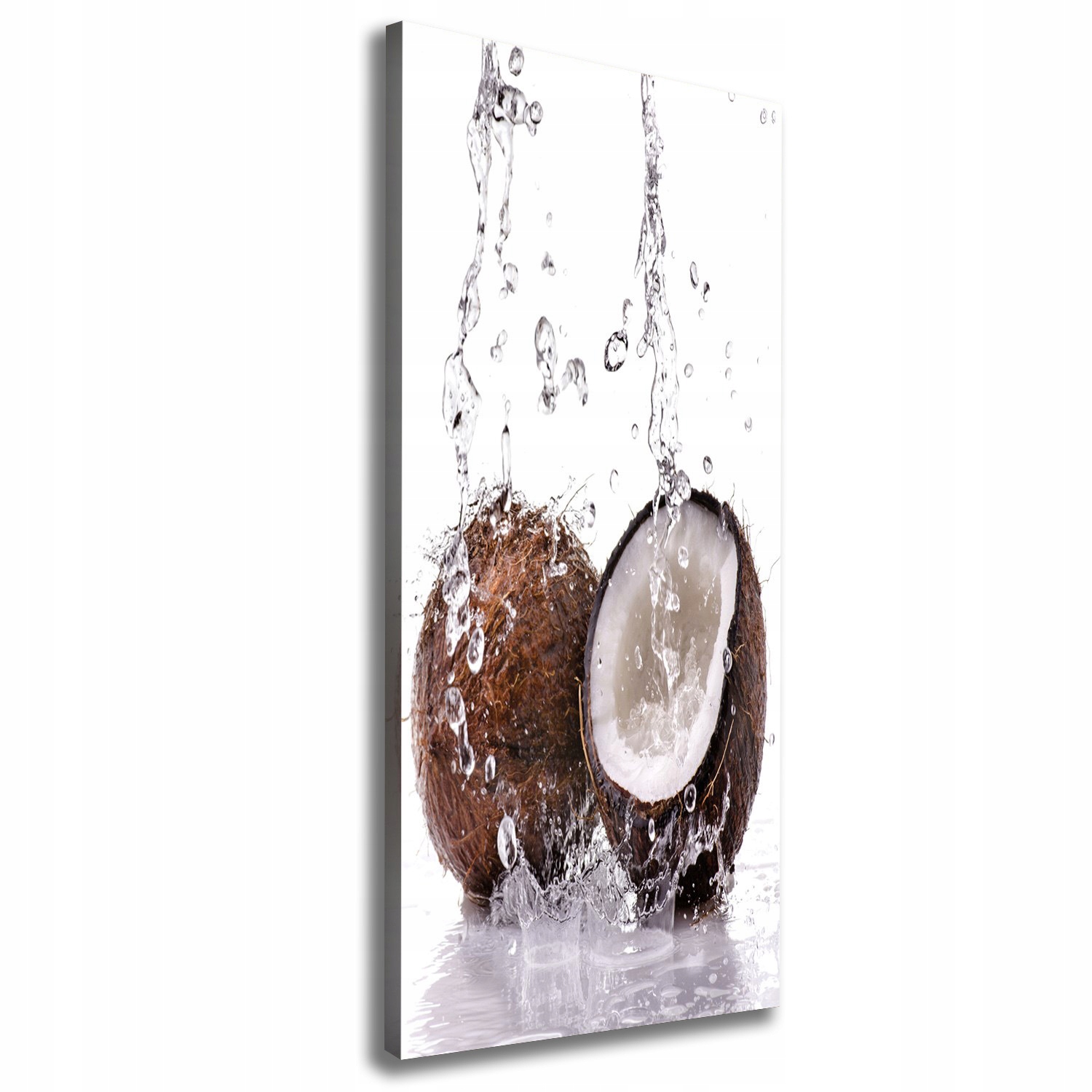 

Foto-obraz zdjęcie na płótnie Kokos 50x125 cm