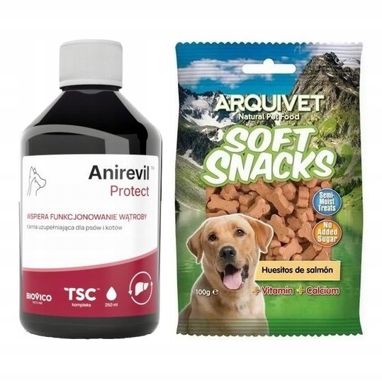 Biovico Anirevil Protect 250 ml Płyn na Wsparcie Wątroby Przysmak