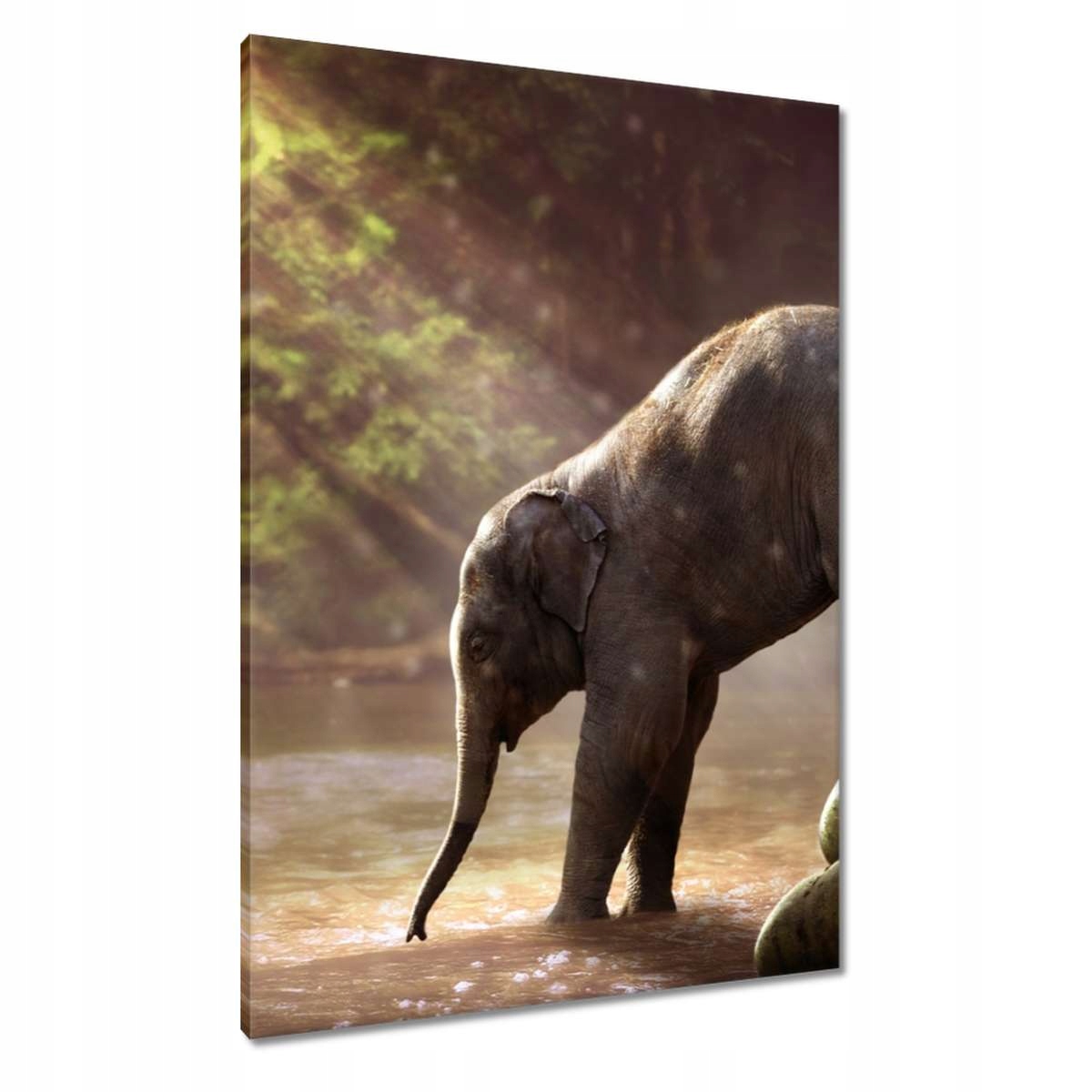 Obrazy 70x100 Mateřská láska