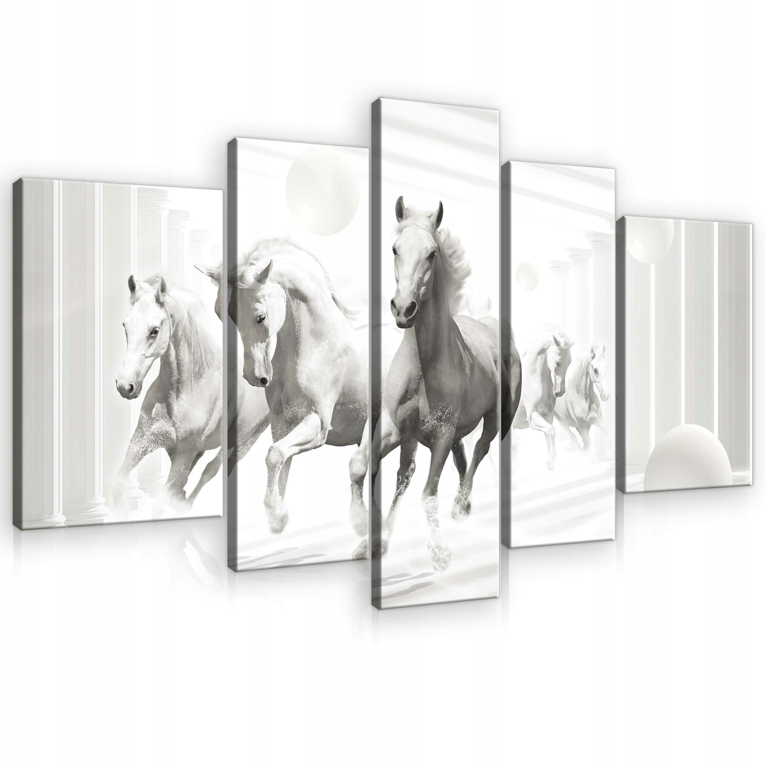 Obraz 170x100 Kone beh pohyb sloboda grácia rýchlosť moderný interiér