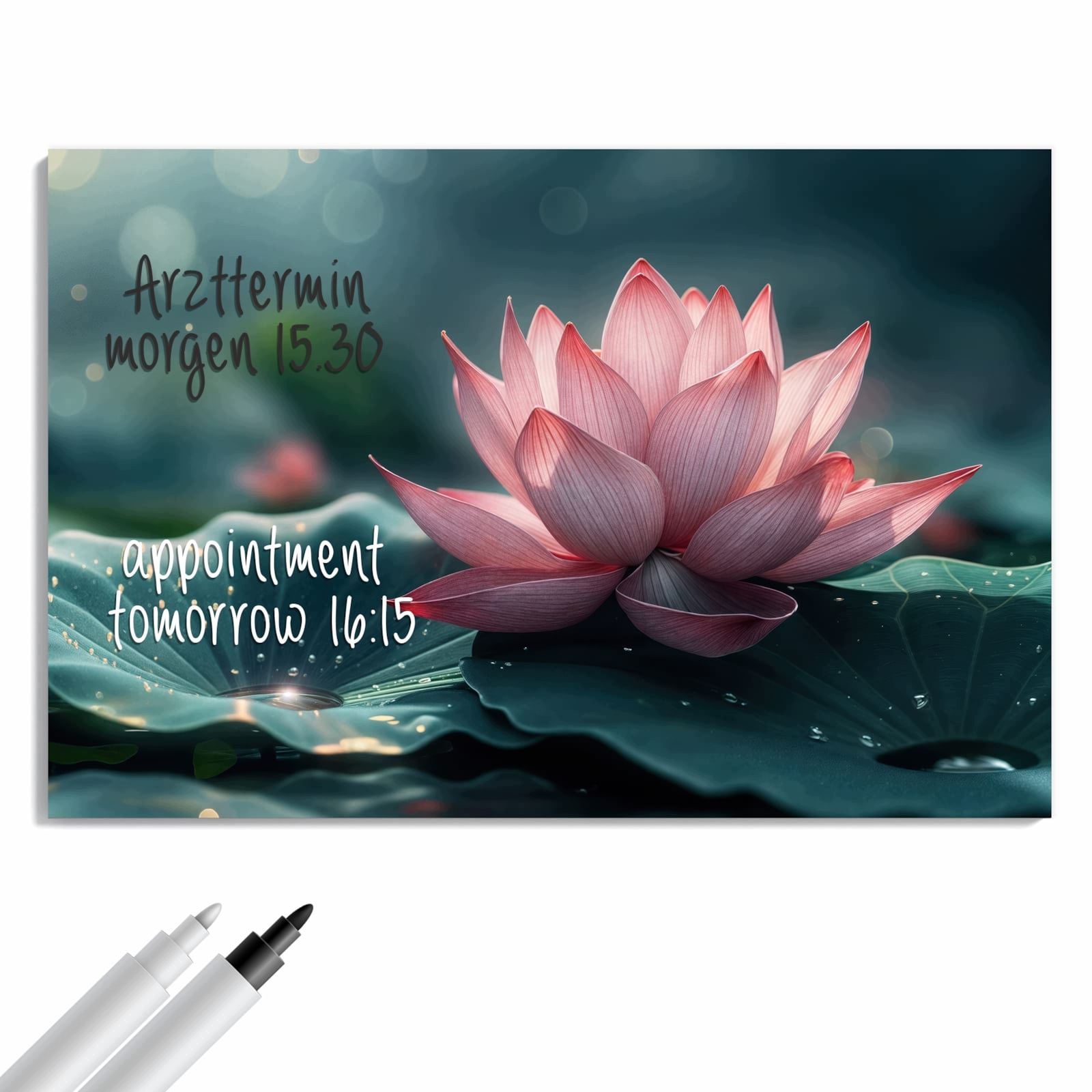 Magnetická tabule Kouzlo lotosu 60 × 40 cm