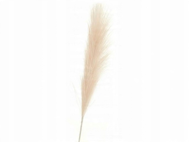 

Trawa sztuczna Trawa Pampasowa Boho 61cm