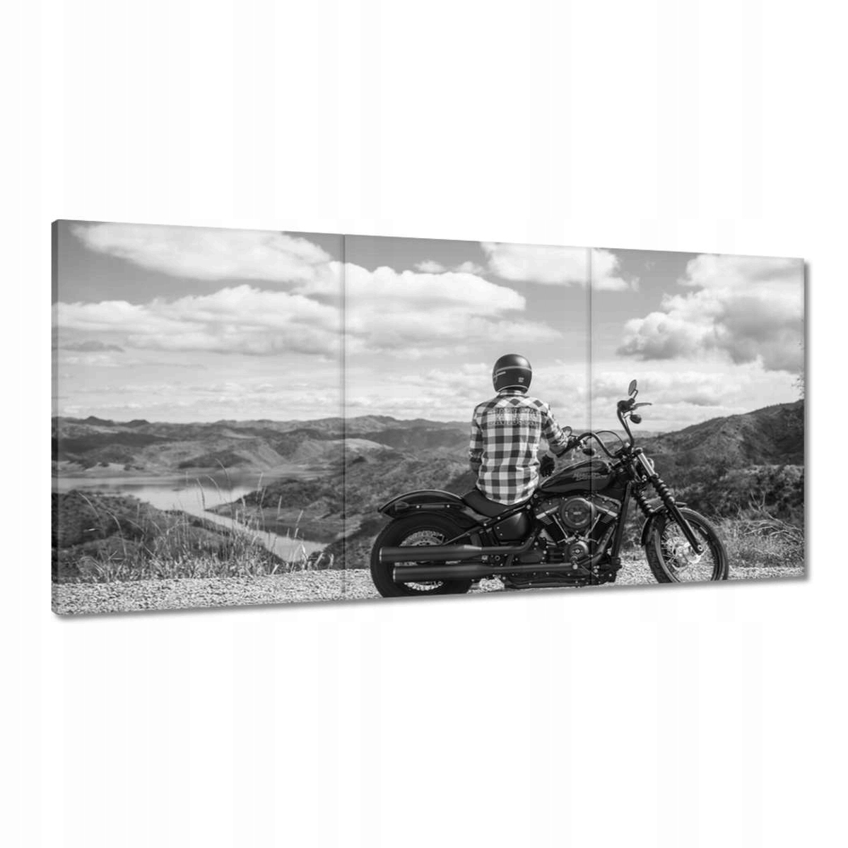 Obrazy 180x90 Harley Davidson Motocykel