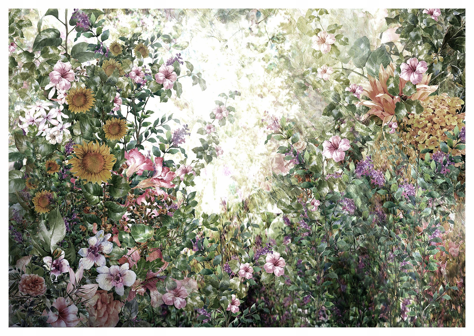 Fototapeta Akvarijní květiny Slunečnice Zeleň Rosa 208x146 lepidlo