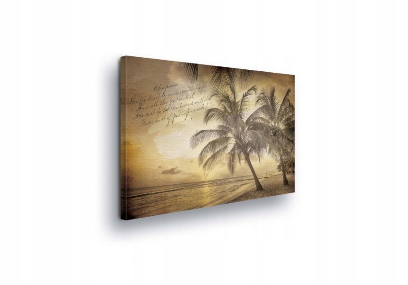 Obraz 80x60 Tropiky pláž palmy západ slunce moře vintage retro klid