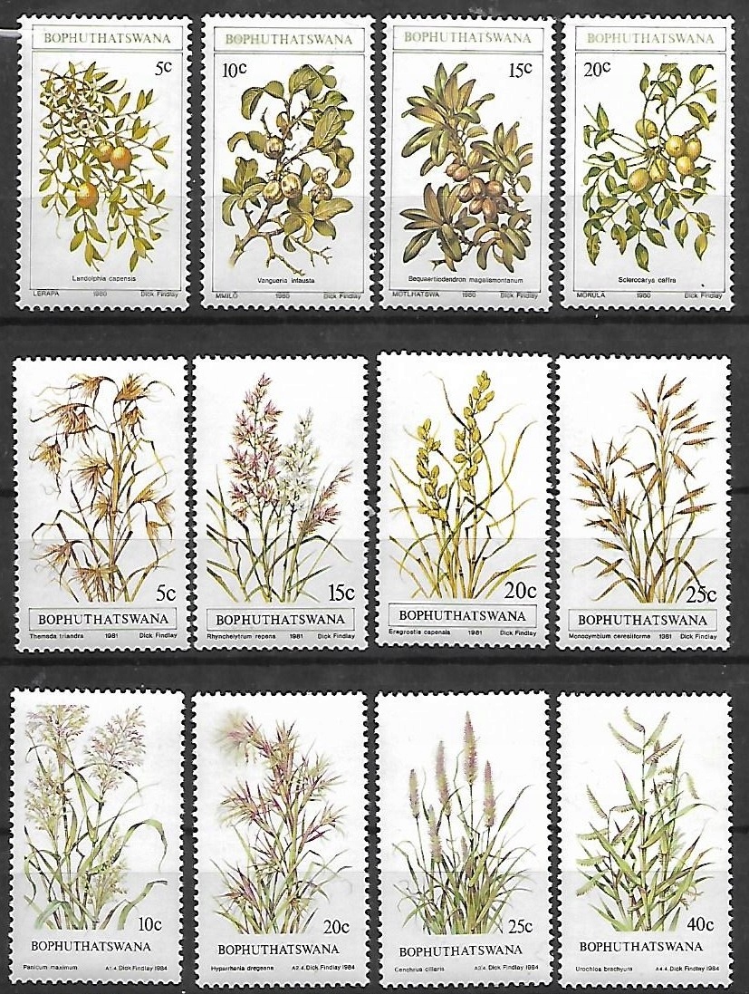 Bophuthatswana xx Z277 flora kwiaty MNH VF