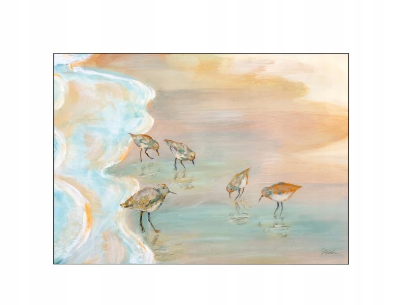 Obraz Poster&Frame Wild Apple Back Bay Sandpipers 30x40 cm