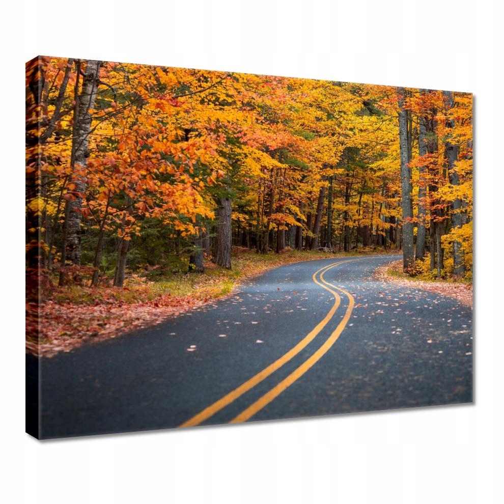 

Obrazy 50x40 Pejzaż Krajobraz Widoczek