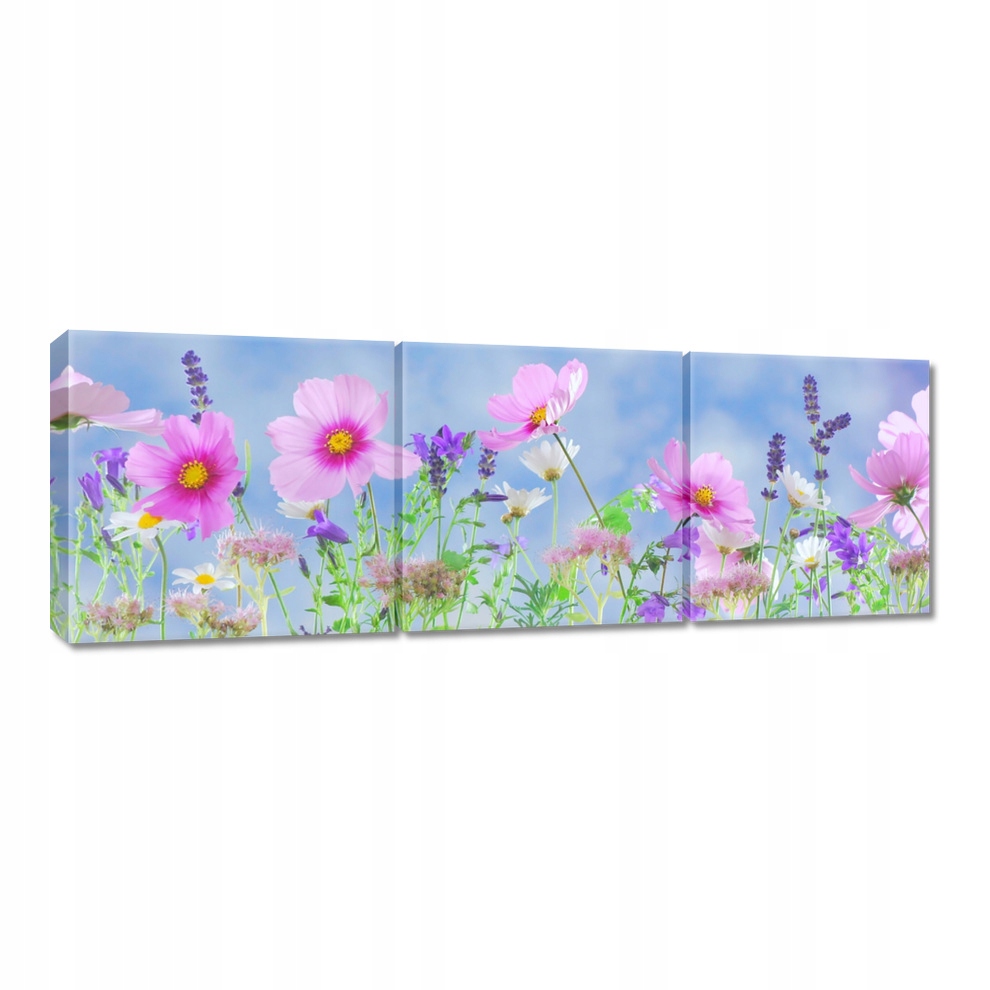 

Obrazy 150x50 Delikatne kwiatki