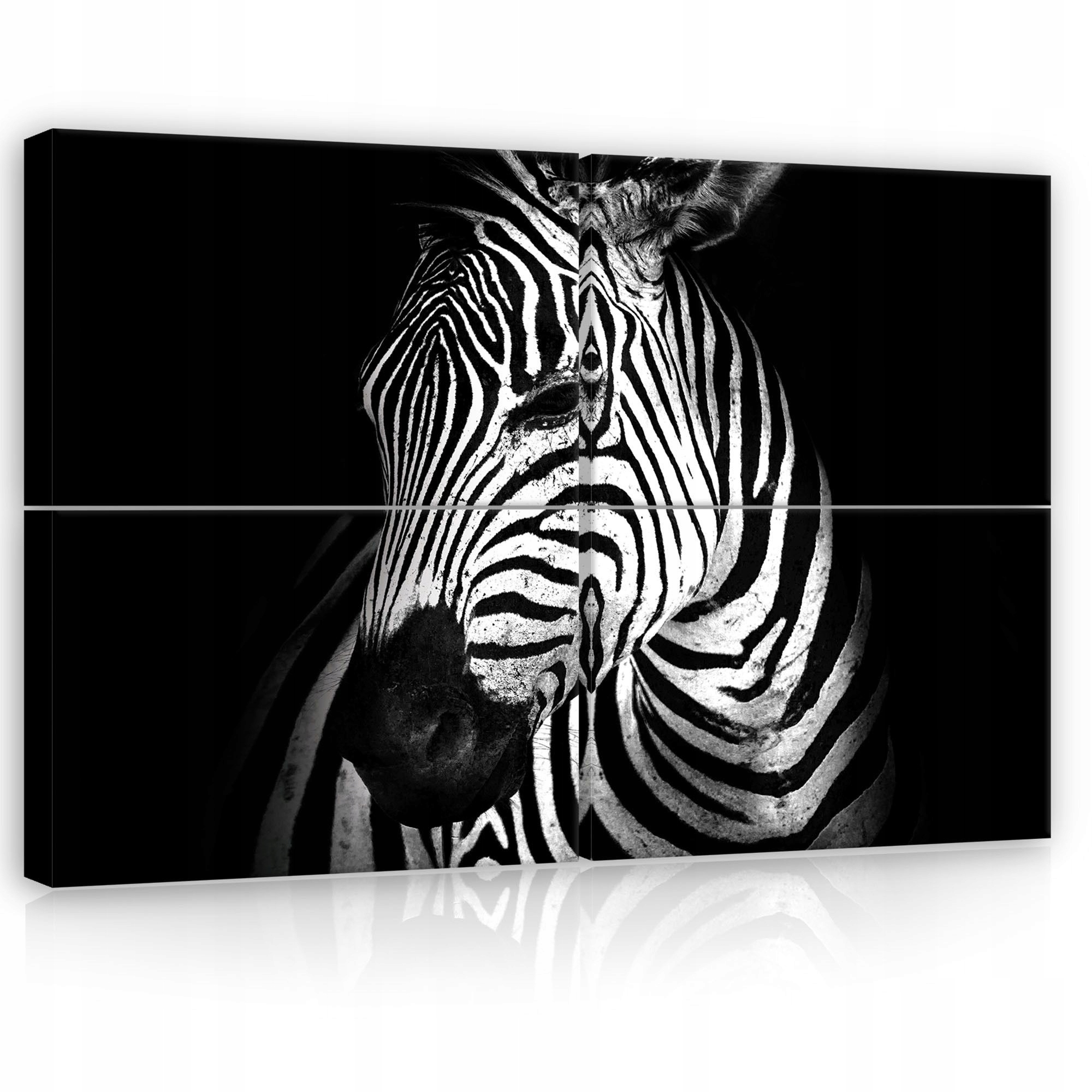 Obraz 120x80 Zebra černobílé zvíře pruhy kontrast minimalismus grafika