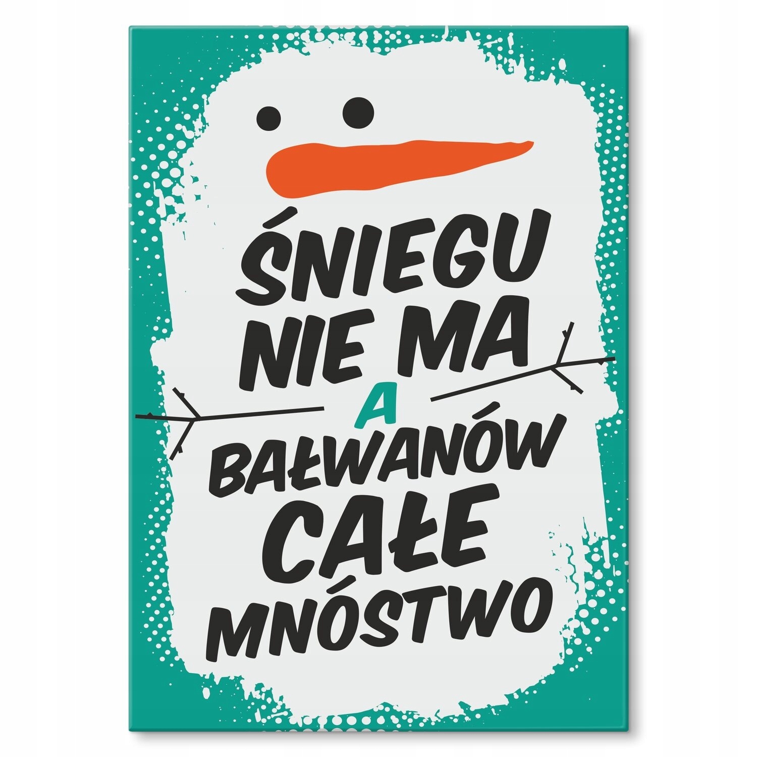 Kovový plakát Sněhu nemá Štítek Plech 42 x 59,4 cm Dárek
