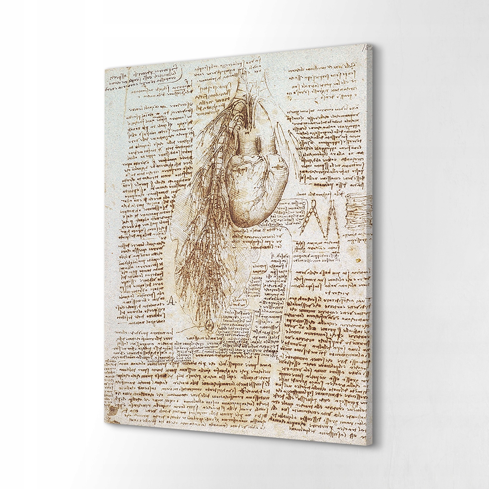 Výtisk na plátně 40x60 Da Vinci anatomie umění