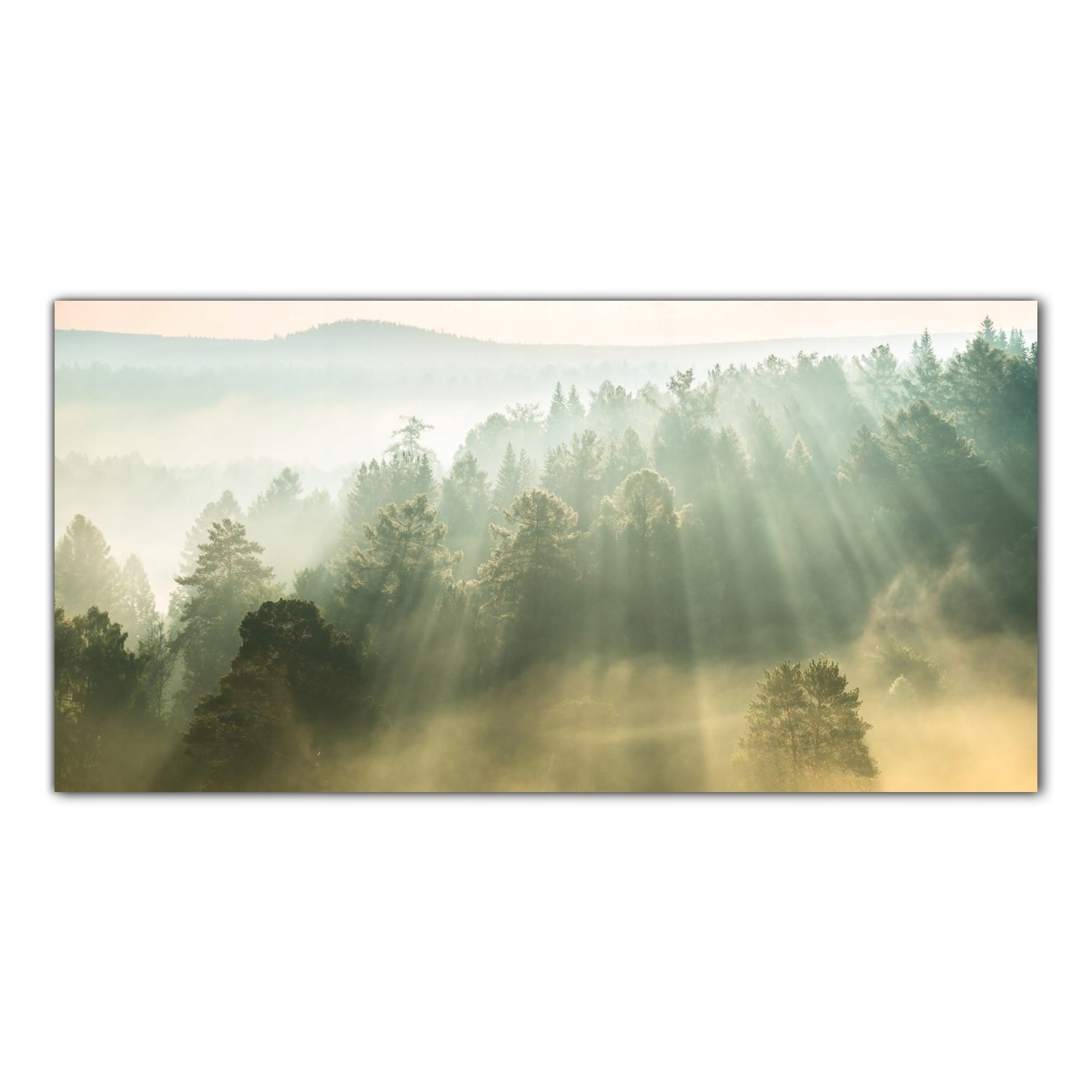 

Obraz na szkle Foto Promienie Słońca Mgła 100x50