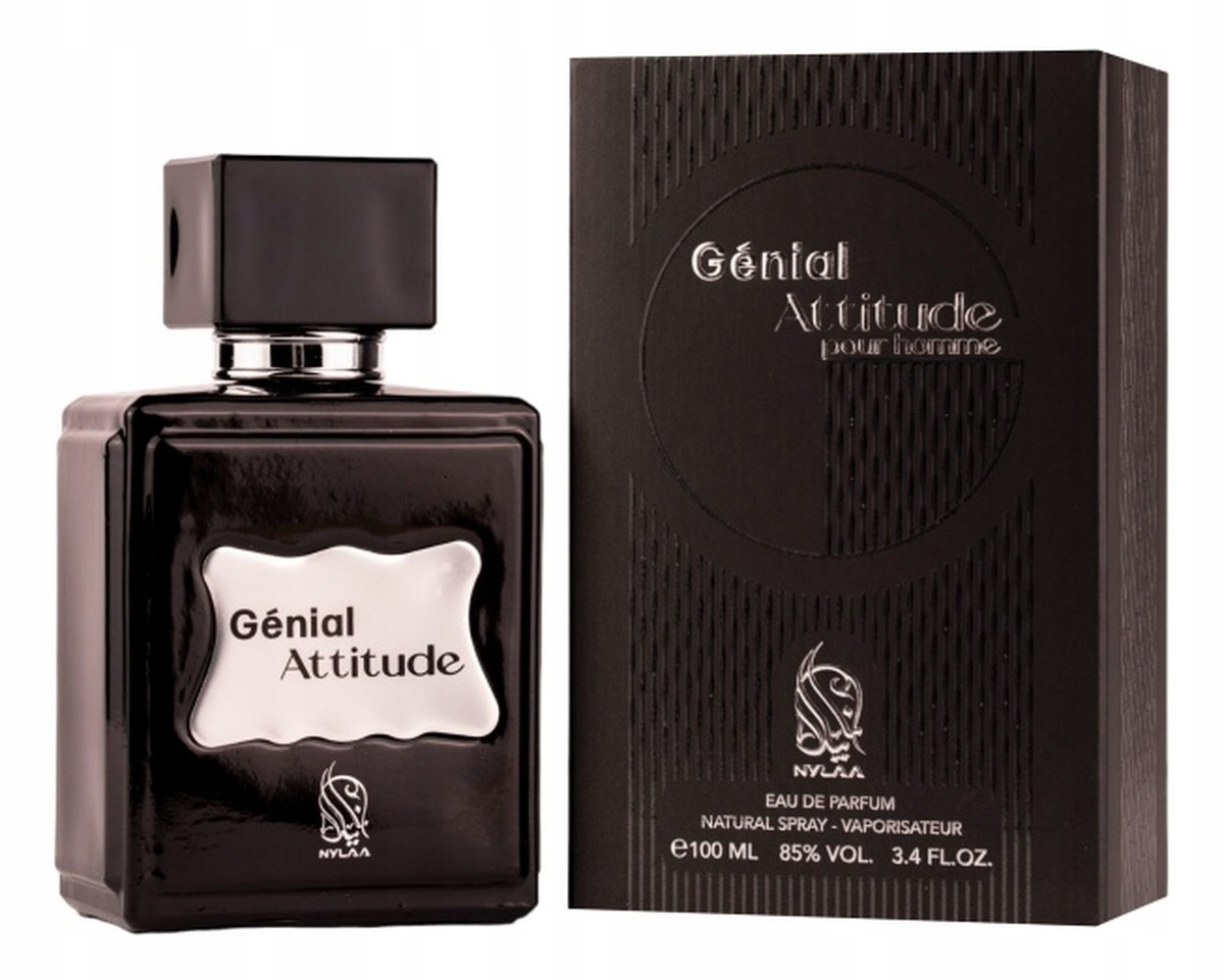 Nylaa Genial Attitude parfémovaná voda pro muže 100 ml