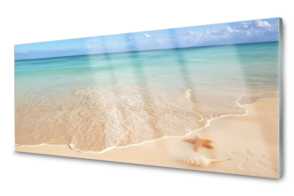

Panel szklany do kuchni Plaża Rozgwiazda 125x50