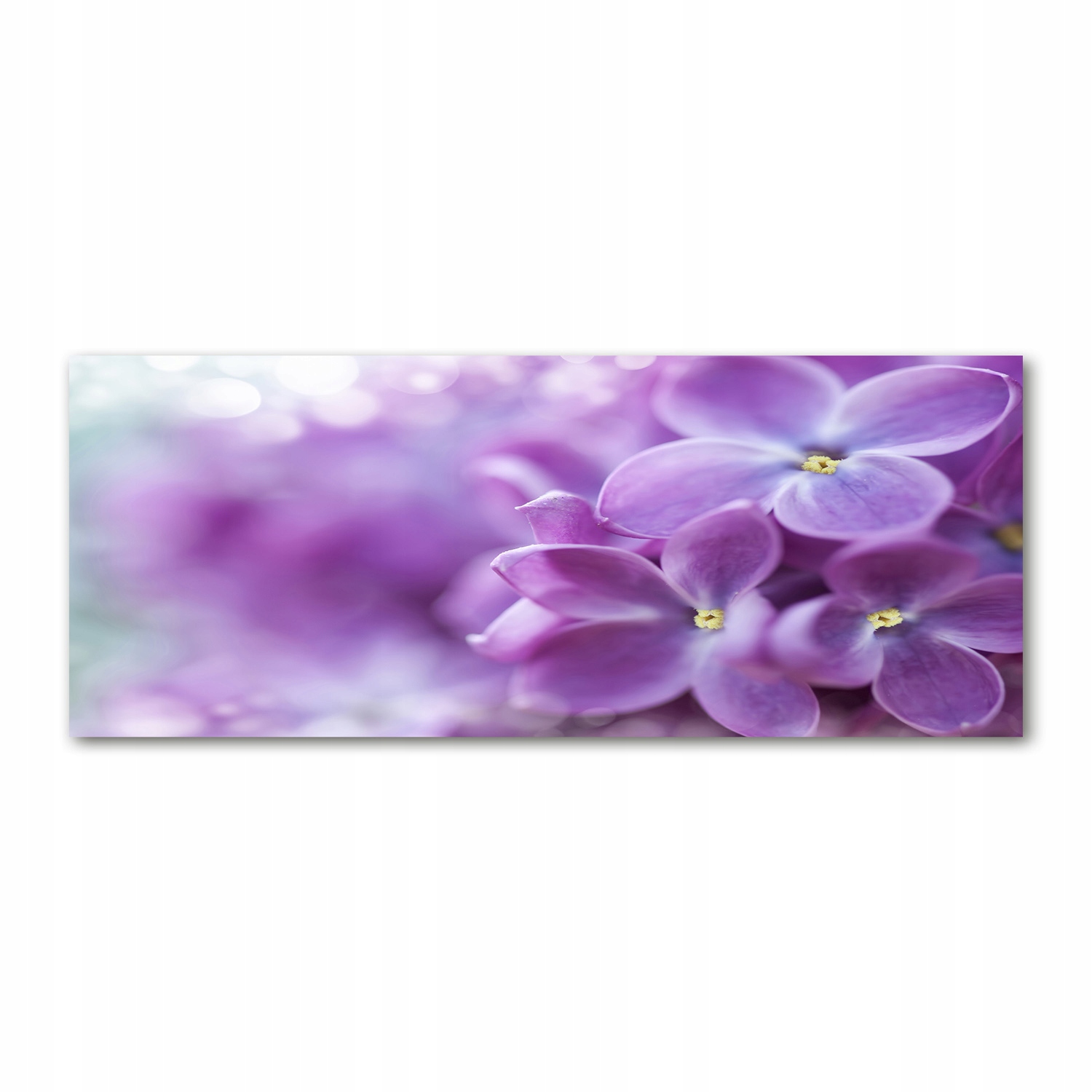 

Foto obraz akryl nowoczesny Kwiaty bzu 125x50 cm