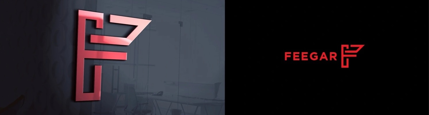 FEEGAR Transmiter FM bluetooth ładowarka QC 4.0 PD Źródło sygnału bluetooth