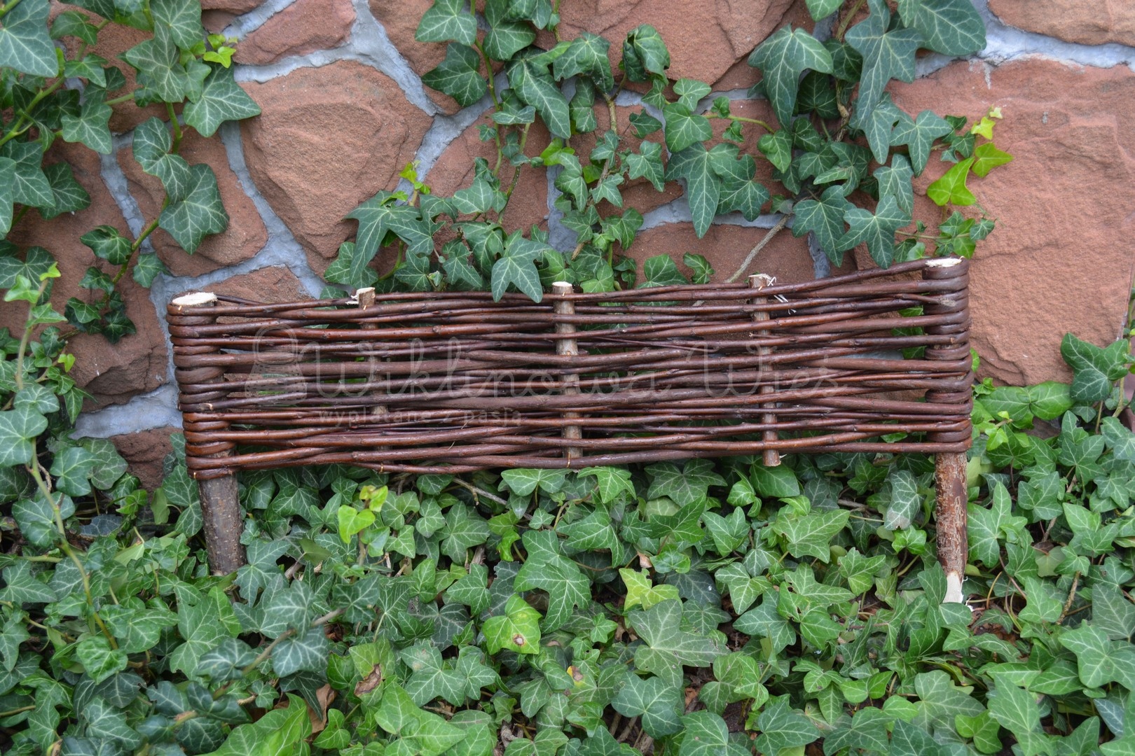 PALISADA WIKLINOWA 15/60 płotek obrzeże z wikliny Typ wiklina ogrodowa