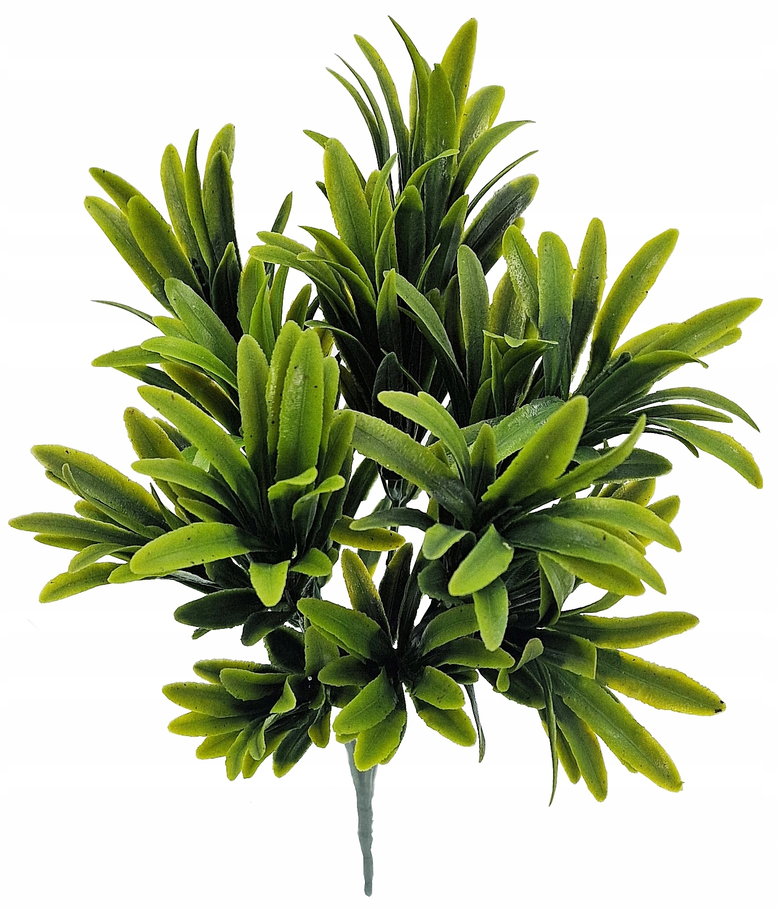 BUKIET DS027 RUSKUS 28cm LIŚCIE LISTKI roślina Kod producenta DS027