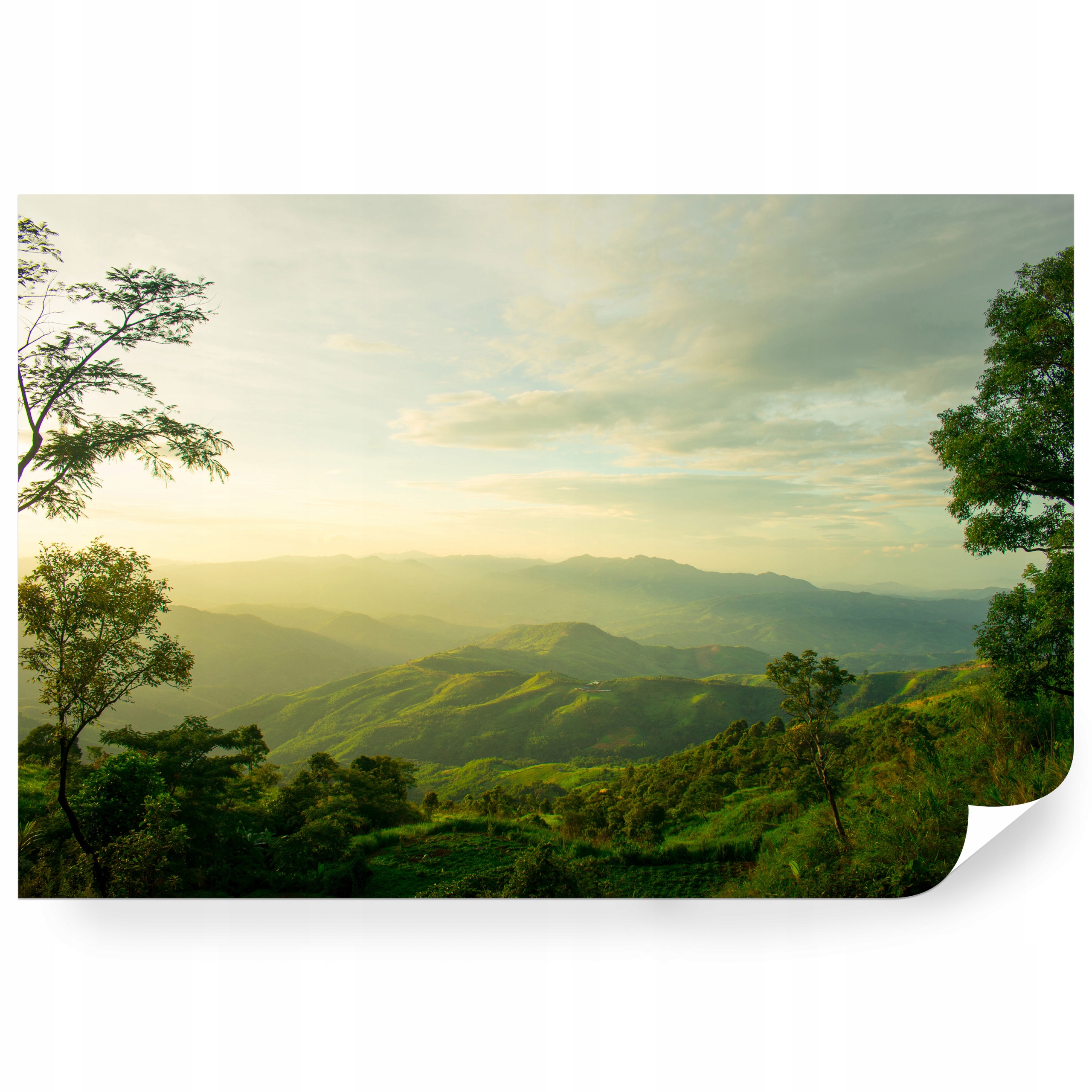 Samolepiaca fototapeta Les A Západ Slnka Na Doi Tung 368 x 280 cm