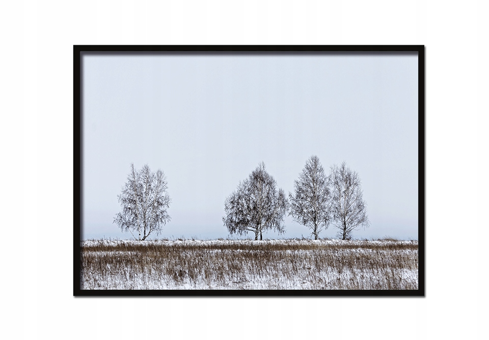 

Obraz Plakat W Ramie 53x73 cm Drzewa P609