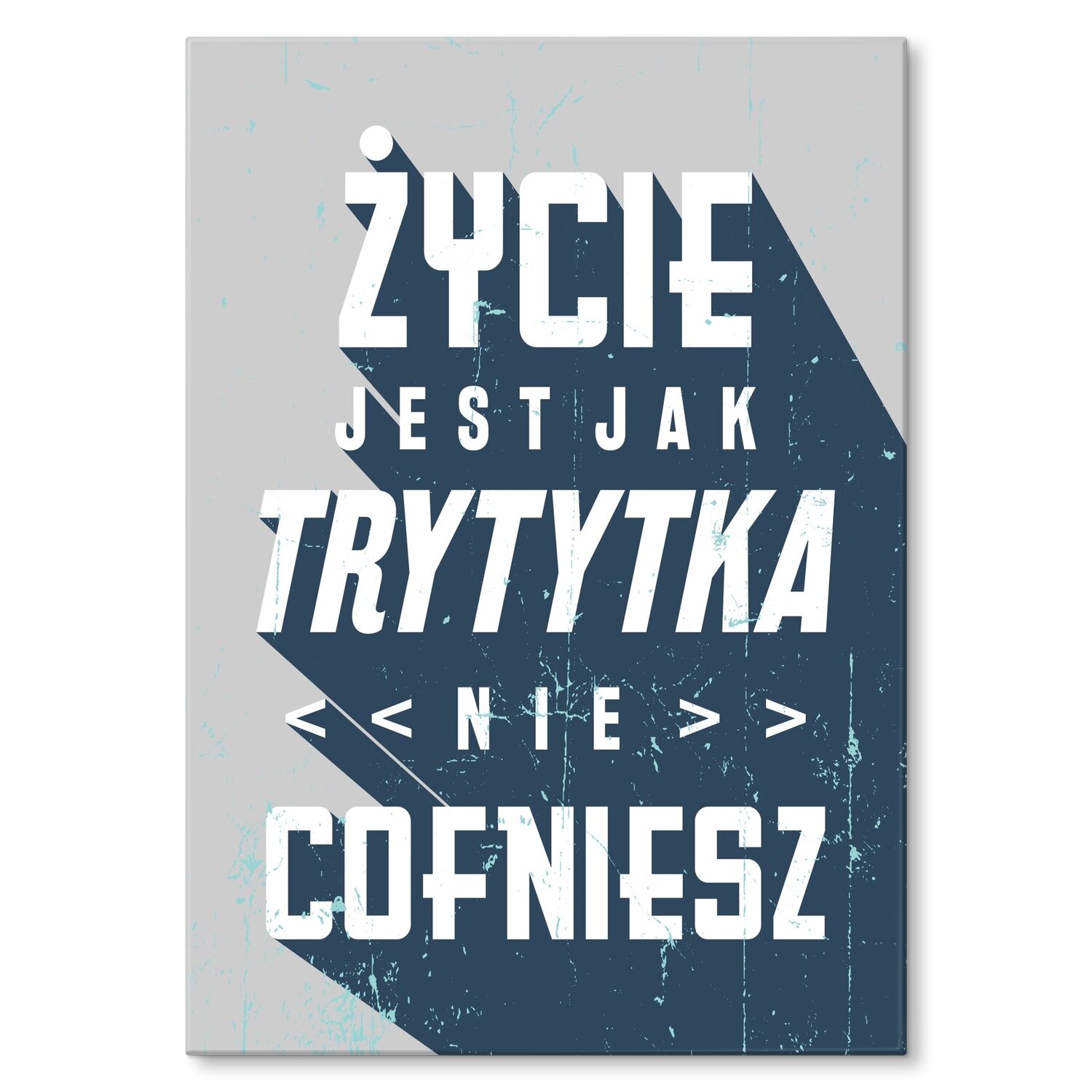 Kovový plakát život jako tritika Štítek Plech 22 x 31 cm Dárek