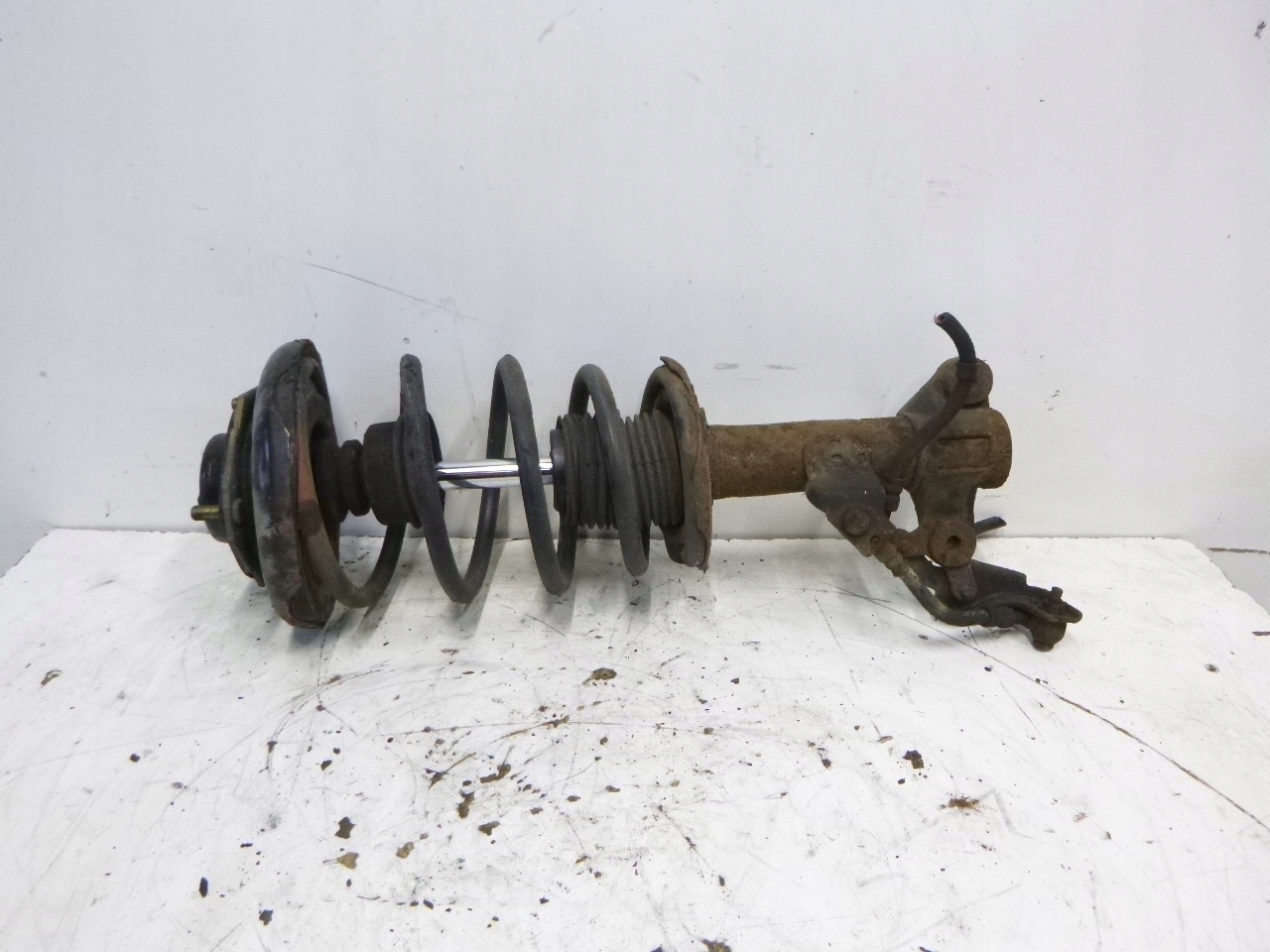 shock absorber front Nissan Primera P12 1.8 02-07r.