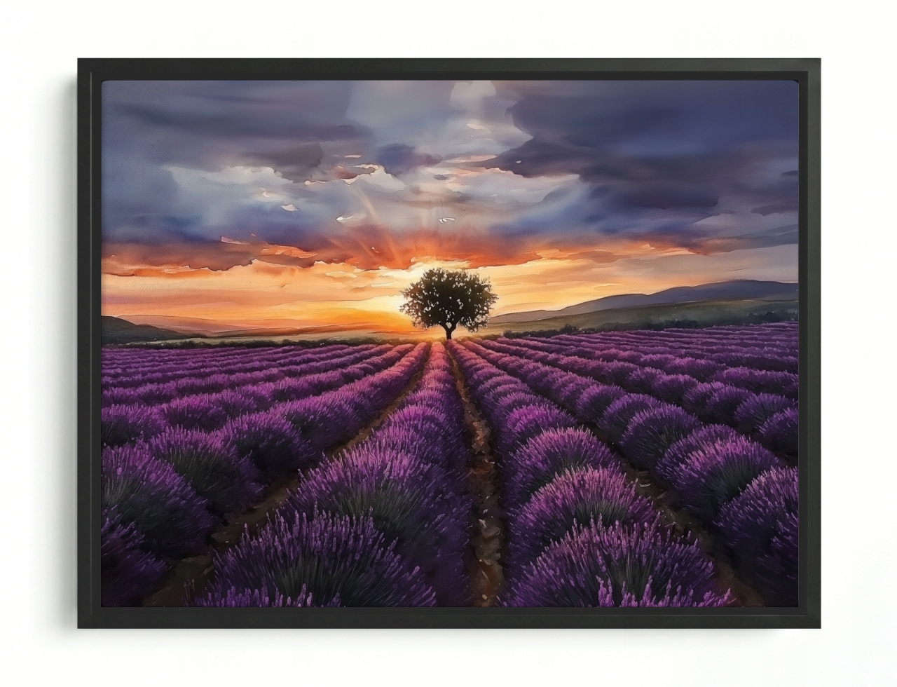Obraz Rám American Box Pole Levandule Západ Slnka Provence 80x60