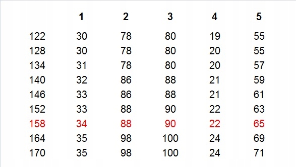 KOSZULA CHŁOPIĘCA BIAŁA Z GRANATEM I CZERWONYM KRÓTKI RĘKAW DLA CHŁOPCA 158 Rozmiar (new) 158 (153 - 158 cm)
