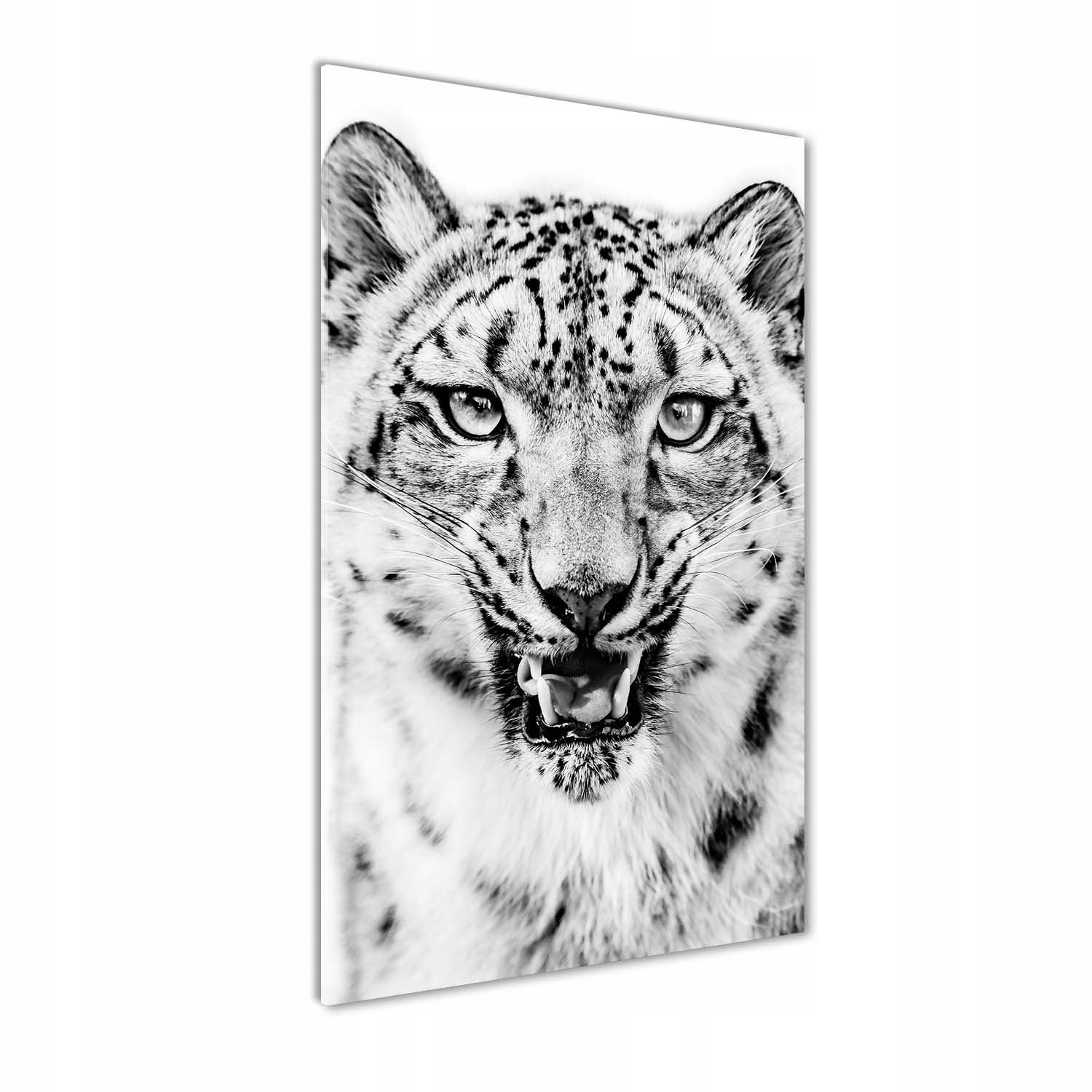 

Foto obraz szkło akrylowe Śnieżna pantera 60x120cm
