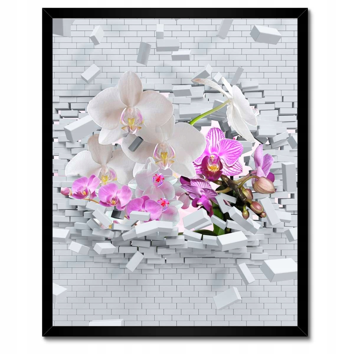 Plakáty v rámu 40x50 Orchidejem do zdi Květiny