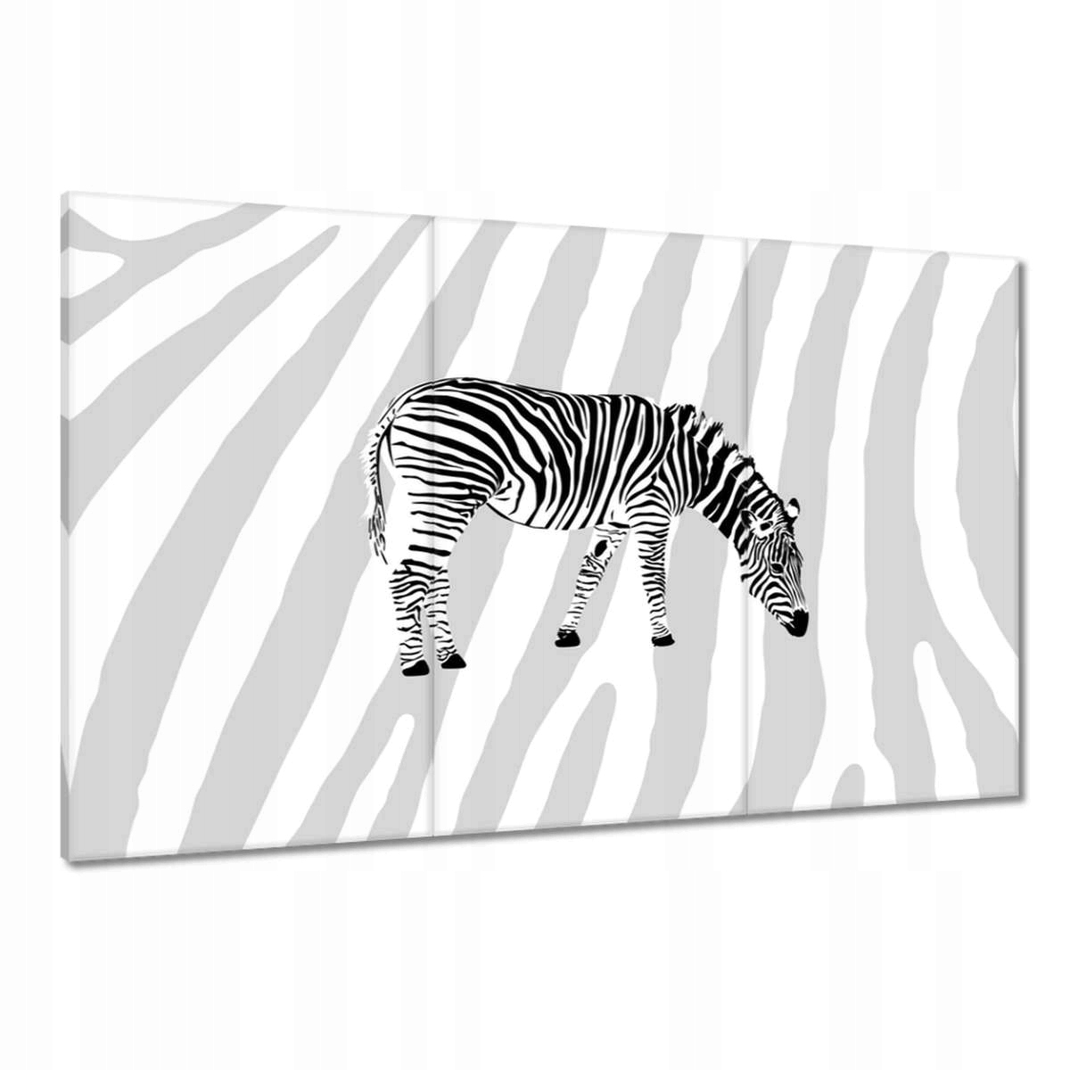Obrazy 120x80 Zebra Pruhy