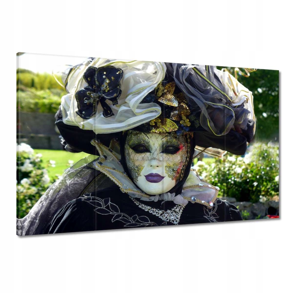 Obrazy 120x80 Karnevalový kostým