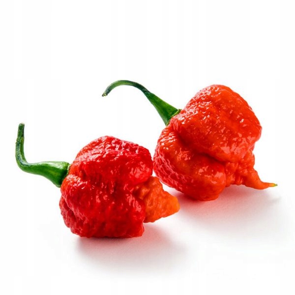 Papryka Habanero Carolina Reaper Ostra 500g