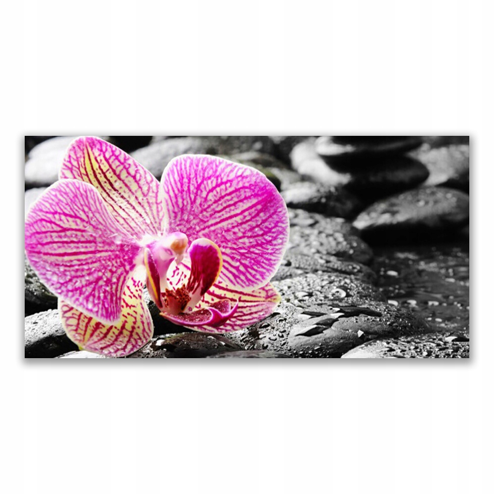 

Obraz z nadrukiem 140x70 Kwiat Kamienie Orchidea