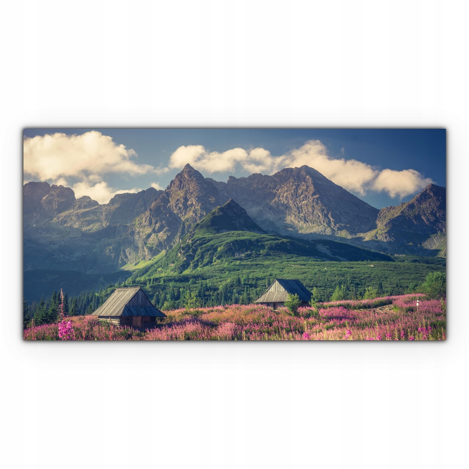 

Canvas na ramie ścienny 140x70 Kwiaty Góry Natura