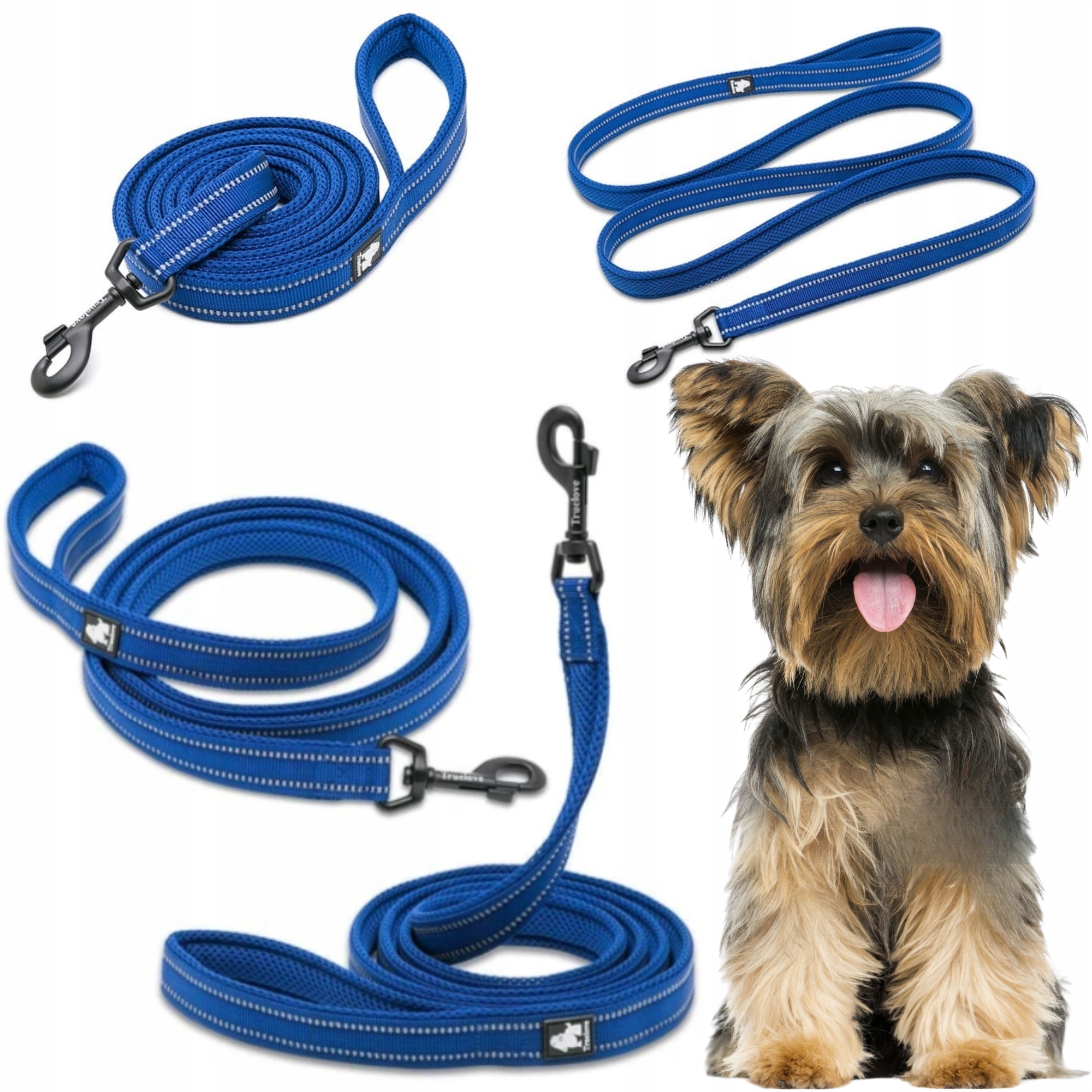 Levně Vodítko Pro Psa Reflexní Silná Truelove Active Tmavě Modrá 200 CM Velikost S